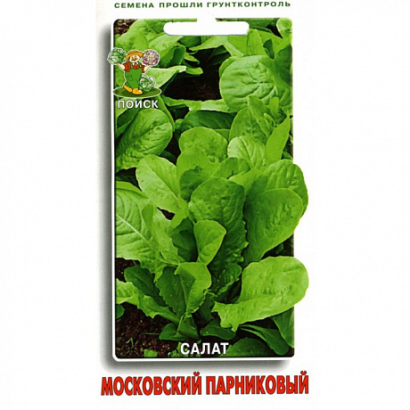 Салат Московский парниковый фото Салат Московский парниковый 