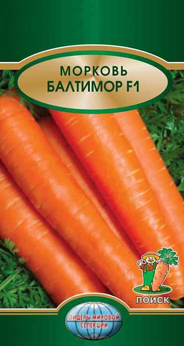 Морковь Балтимор F1 фото Морковь Балтимор F1 